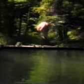 VIOLA Bill, The Reflecting Pool, 1977-79, bande vidéo en couleur, son mono 7 minutes.