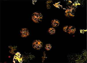 MIGNONNEAU & SOMMERER, Phototropy, 1994