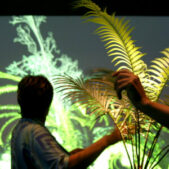 MIGNONNEAU & SOMMERER, Interactive Plant Growing, 1992