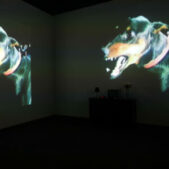 VIOLA Bill, The Sleep of Reason [Le Sommeil de la raison], 1988, Installation audio/vidéo