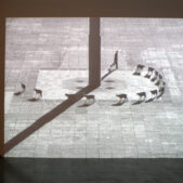ALYS Francis, Cuentos patrióticos [Récits patriotiques], 1997