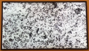 MUNOZ Oscar, Distopia, 2014, Museum of Fine Arts, Boston, Massachusetts.