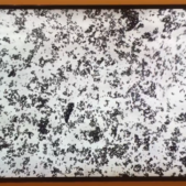MUNOZ Oscar, Distopia, 2014, Museum of Fine Arts, Boston, Massachusetts.