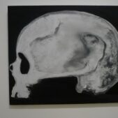 DUMAS Marlène, Skull (of a Woman), 2005