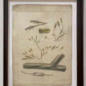 SYJUCO Stephanie, Comparative Morphologies, #3, 2001