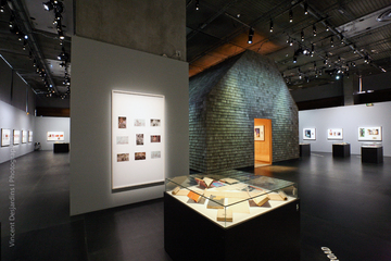 Exposition