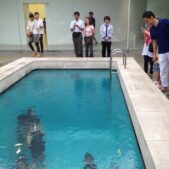 ERLICH Leandro, Swimming Pool, 1999