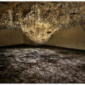 DUNIETZ Maya, Thicket, 2016
