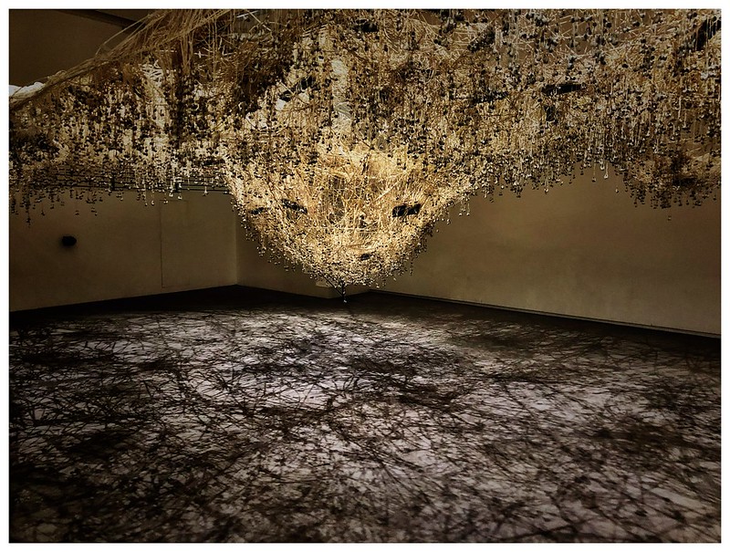 DUNIETZ Maya, Thicket, 2016